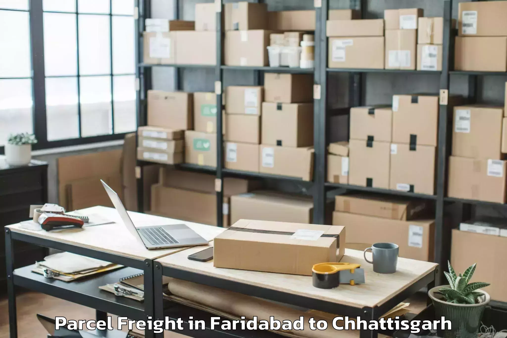 Quality Faridabad to City Center Mall Raipur Parcel Freight